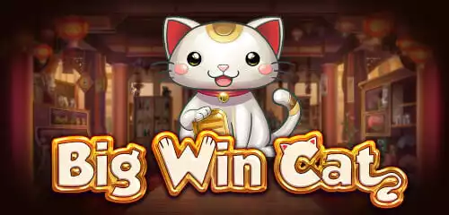 Menyelami Serunya Big Win Cat: Slot Seru dari Spadegaming